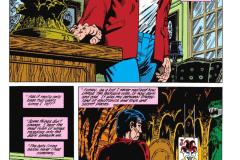 Batman-Year-Three-The-Deluxe-Edition-0014