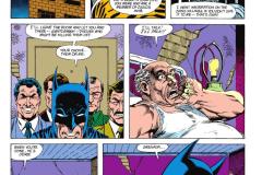 Batman-Year-Three-The-Deluxe-Edition-0072