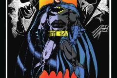 Batman-Year-Three-The-Deluxe-Edition-0105