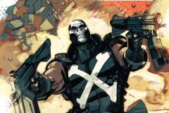 Captain-America-and-Crossbones-000