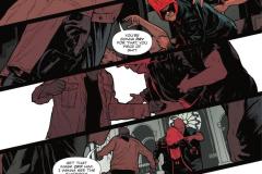 Red-Hood-001-2025-0015