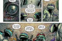 Teenage-Mutant-Ninja-Turtles-2024-012-0014