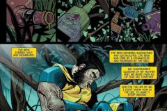 Wolverine-013-2025-0004