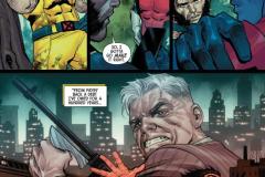 Wolverine-013-2025-0006