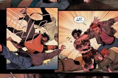 Wolverine-013-2025-0017