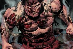 Wolverine-013-2025-0018