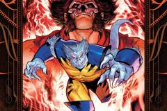 Wolverine-013-2025-0026