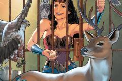 WW-Rebirth-by-Greg-Rucka-064