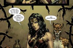 WW-Rebirth-by-Greg-Rucka-237