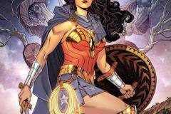 WW-Rebirth-by-Greg-Rucka-314