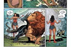 WW-Rebirth-by-Greg-Rucka-330