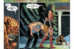 WW-Rebirth-by-Greg-Rucka-416